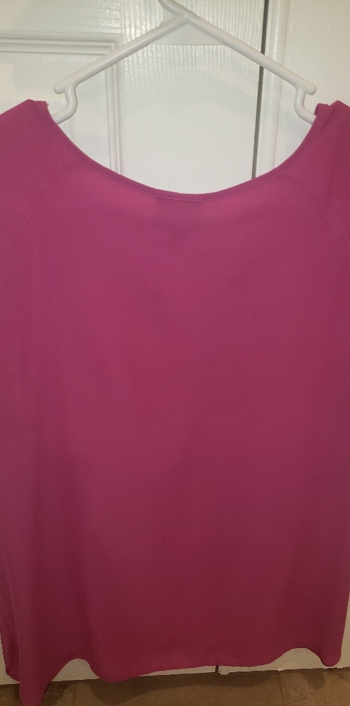 Pink Blouse